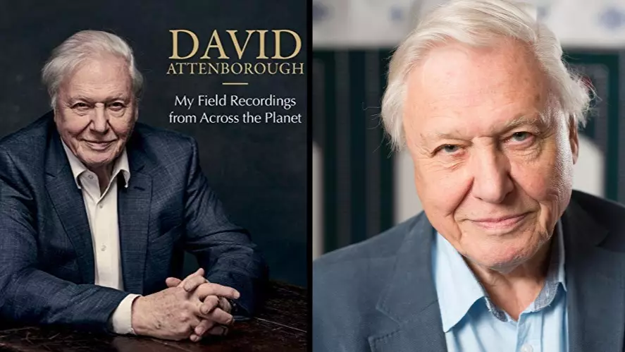 David Attenborough Could Be In The Running For Christmas Number One