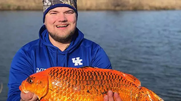 Fisherman Catches 20 Pound 'Goldfish' Using A Biscuit As Bait