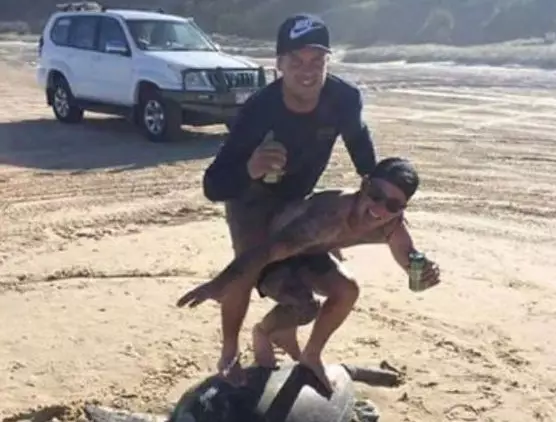 Two Men Could Face A Huge Fine For 'Surfing' Endangered Turtle