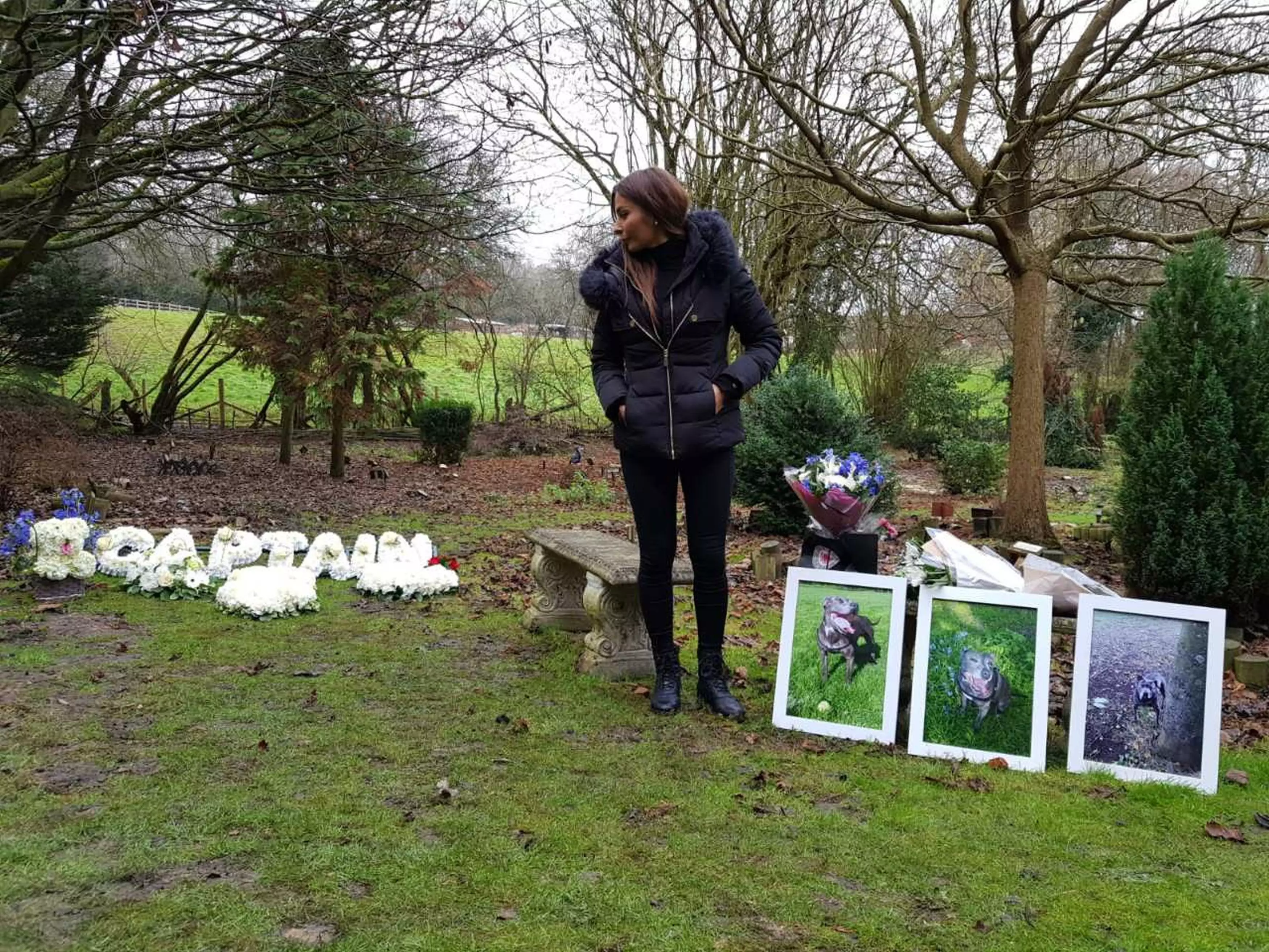 Sasha Smajic looks at the floral tributes at the pet cemetery.