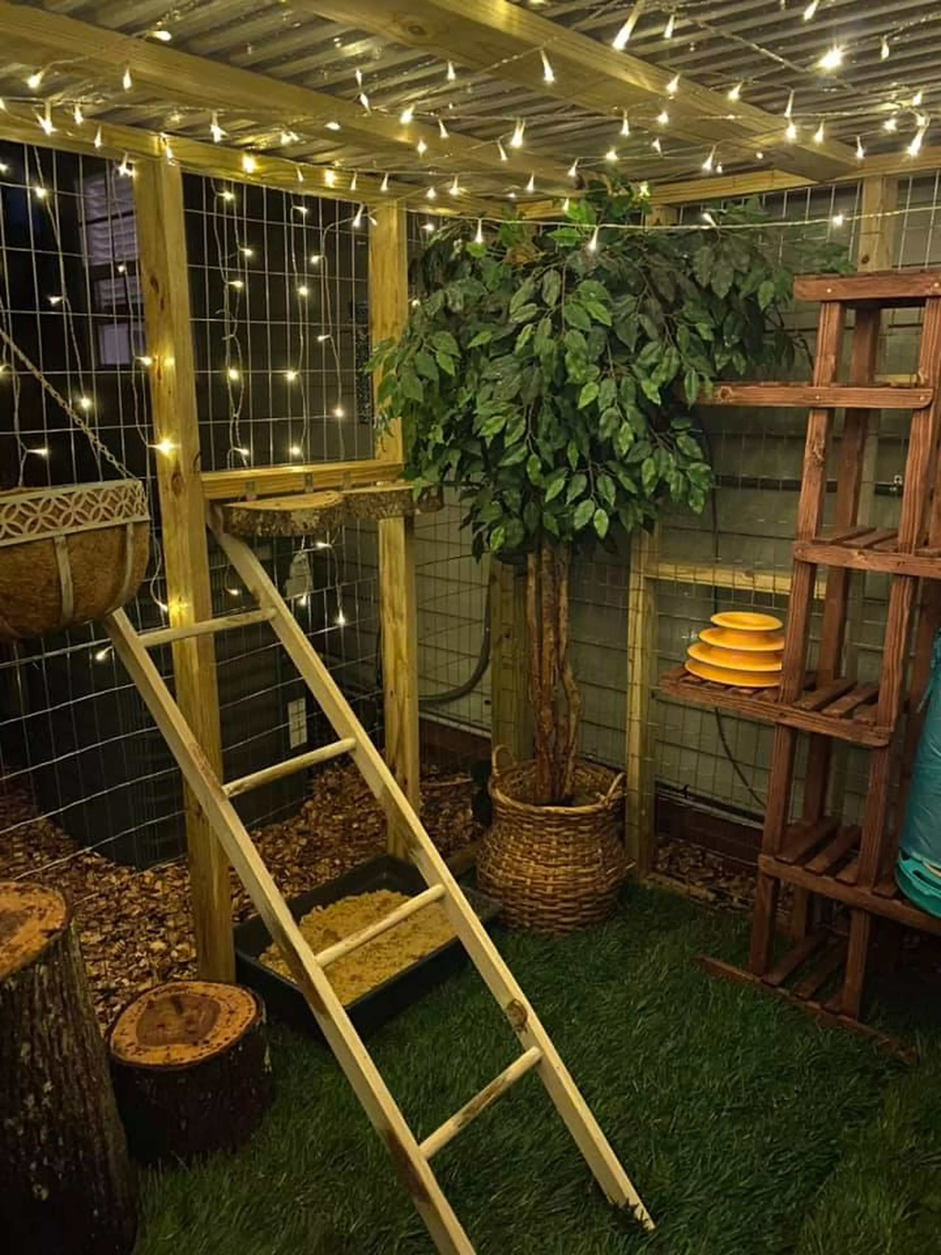 The kitty play area includes platforms and ladders (