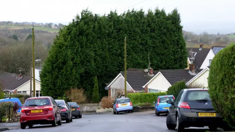 Local Council Orders Woman To Trim Her Bush