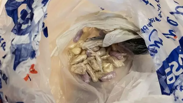 Cat Found With Hundreds Of Pounds Worth Of Drugs In Its Bed