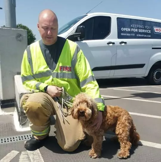 Bertie was rescued thanks to a member of staff at Waitrose.