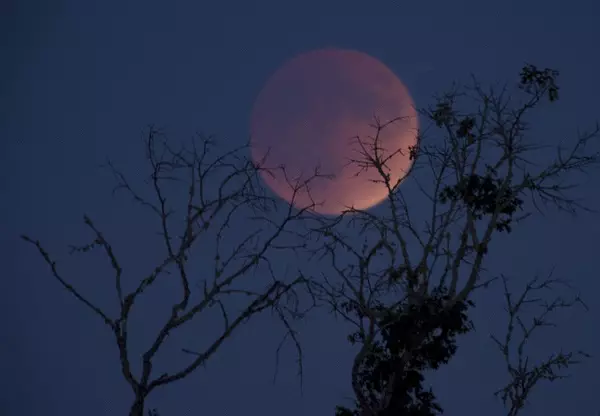 The Super Blood Moon of 2015.
