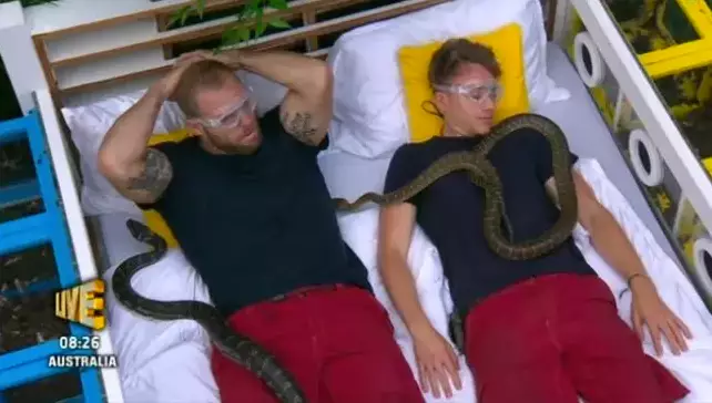 James and Roman failed to complete their 'Jungle Love Island' challenge. (