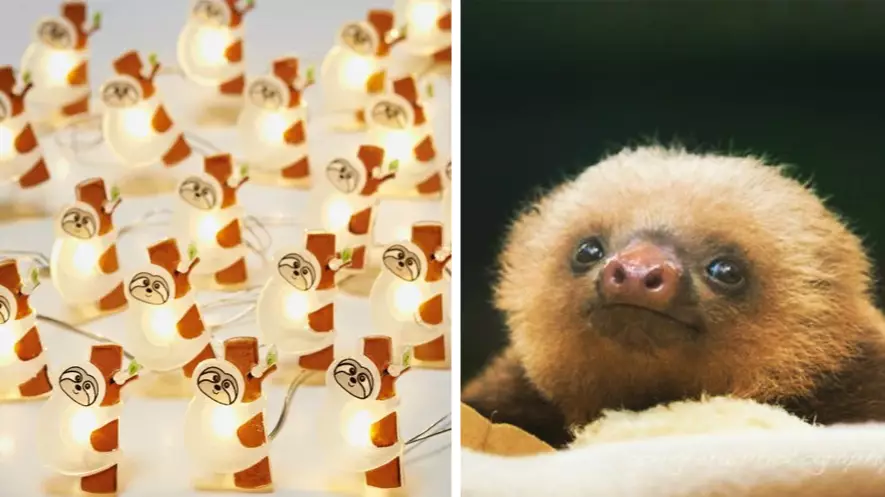B&M Is Selling Adorable Sloth Lights And They're The Perfect Secret Santa Gift