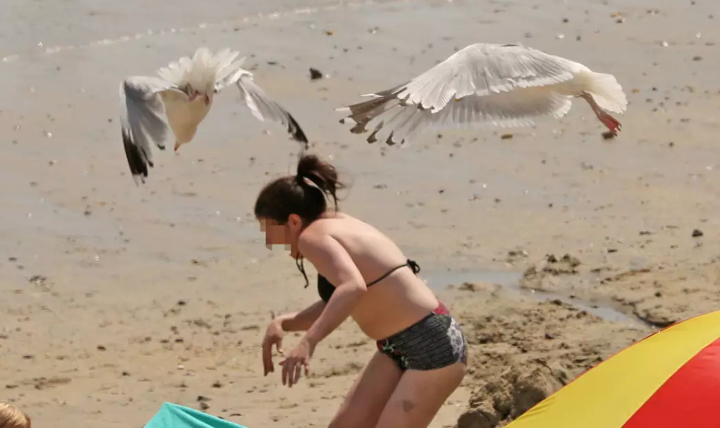 A woman ducks to avoid the seagulls.