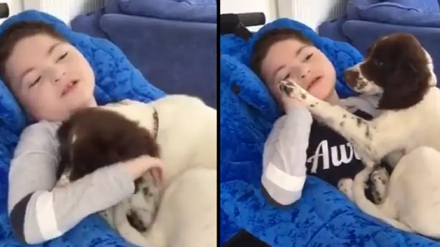 Mum Buys Puppy For Disabled Son And They Quickly Become Best Friends