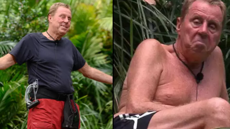 Harry Redknapp Could Earn A Fortune Now He's Won 'I'm A Celebrity...'