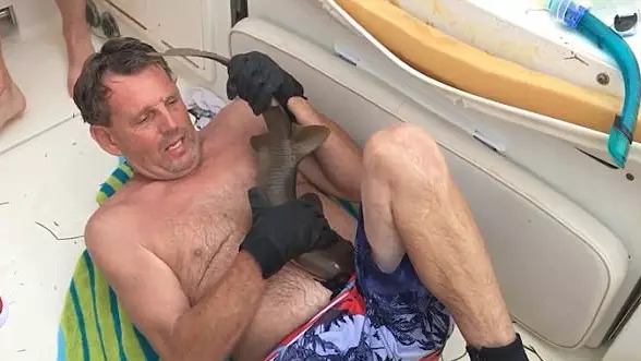Man Cries Out In Pain As Shark Bites His Stomach And Doesn’t Let Go 