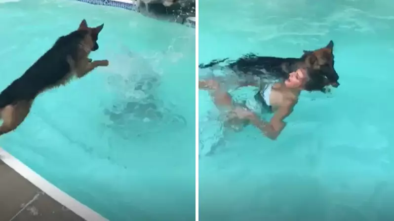 Dog Jumps In Pool To Save 'Drowning' Woman And Drags Her To Safety By Her Hair
