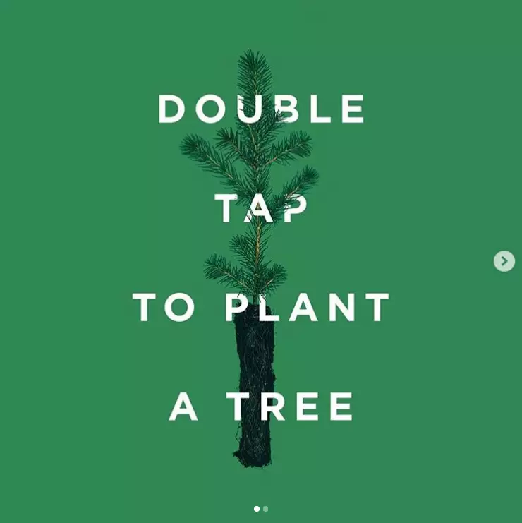 The tentree tree is now the fourth most liked Instagram picture ever.