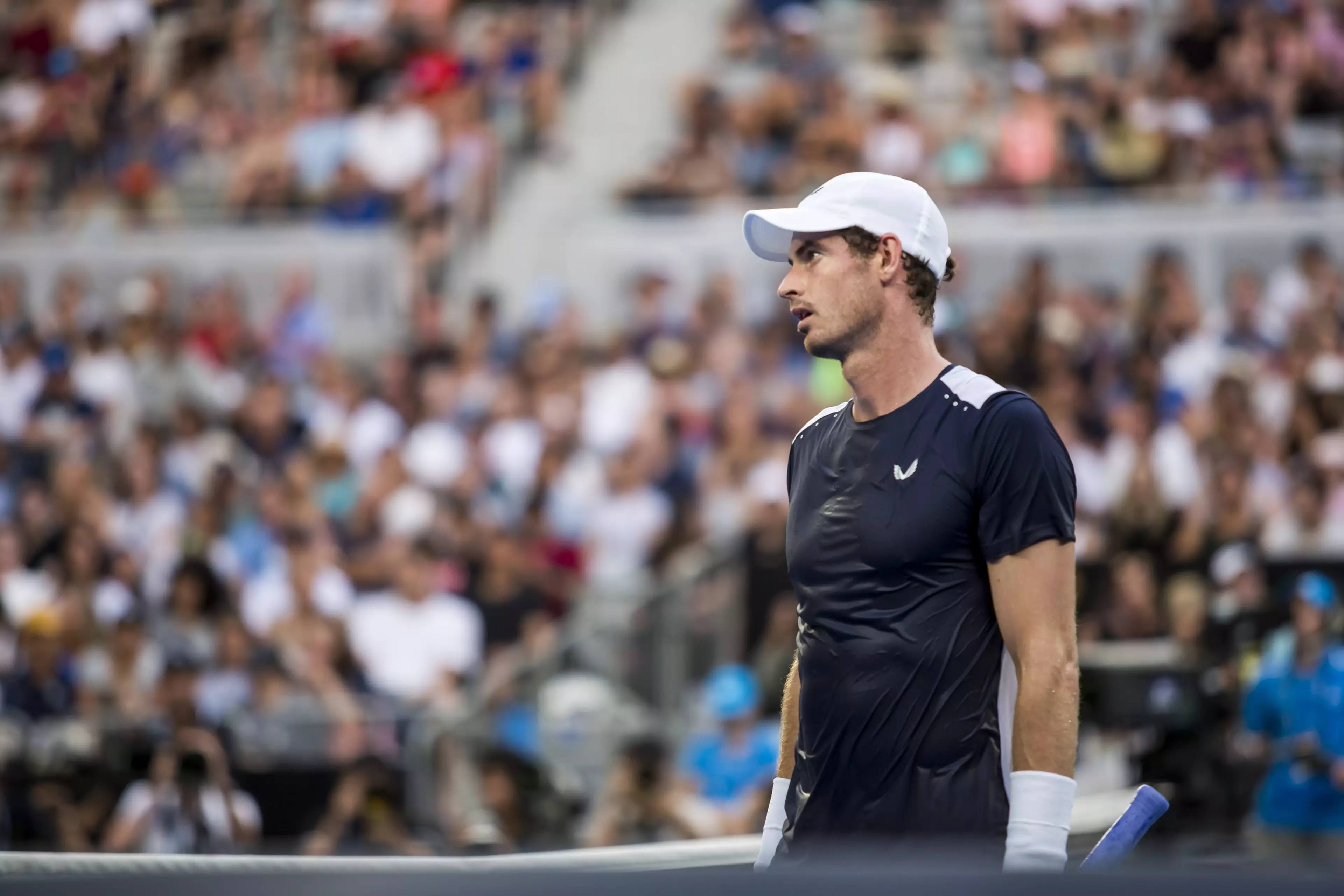 Andy Murray at this year's Australian Open.