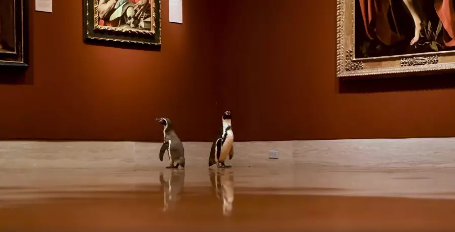 The penguins are really getting into art history.