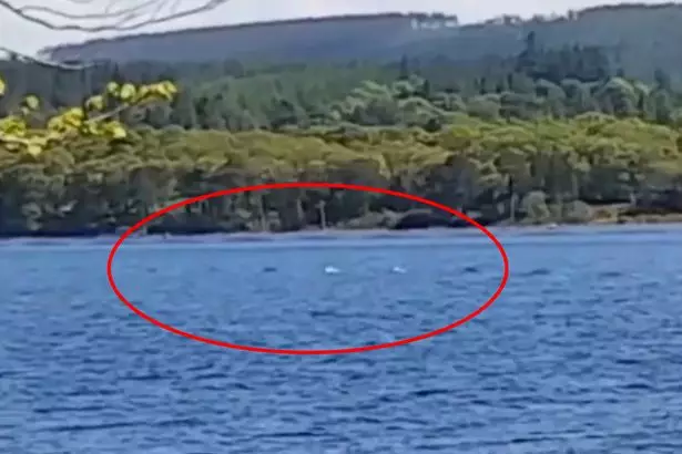 Has Someone Spotted The Loch Ness Monster? 