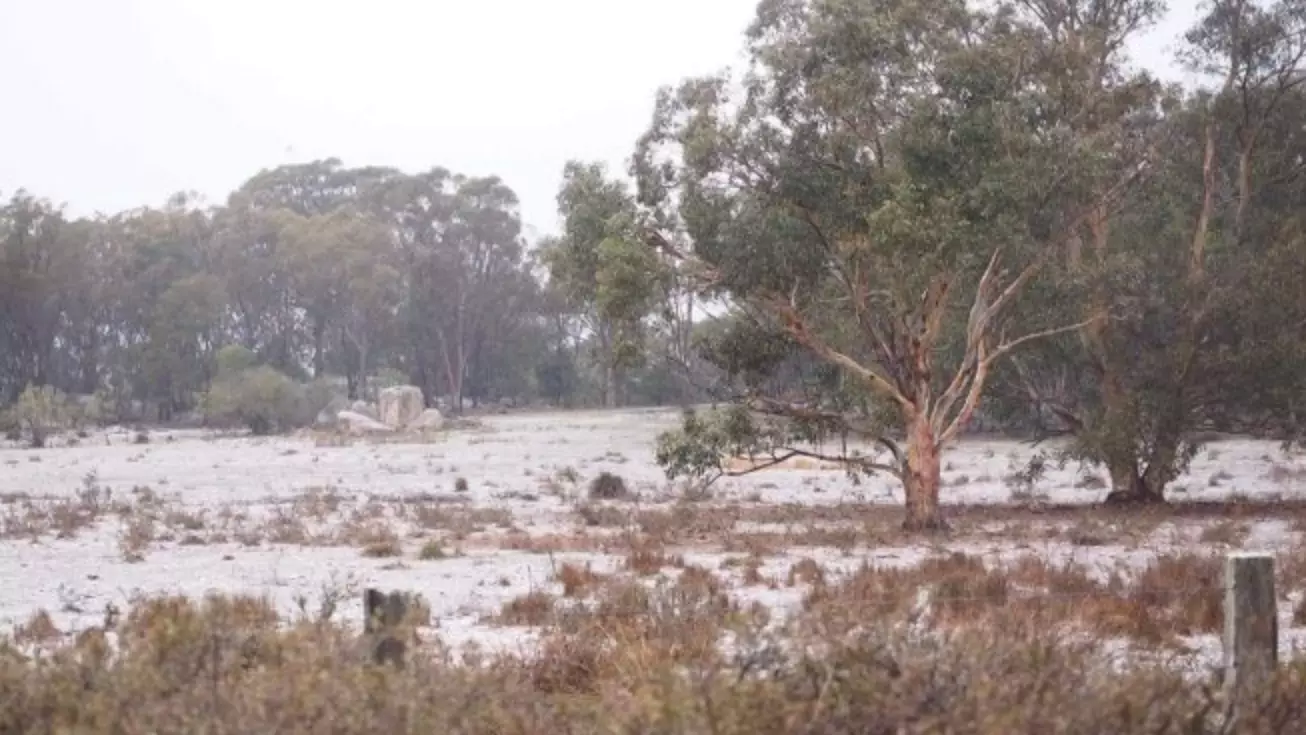 Snow Has Hit Queensland For The First Time In Five Years