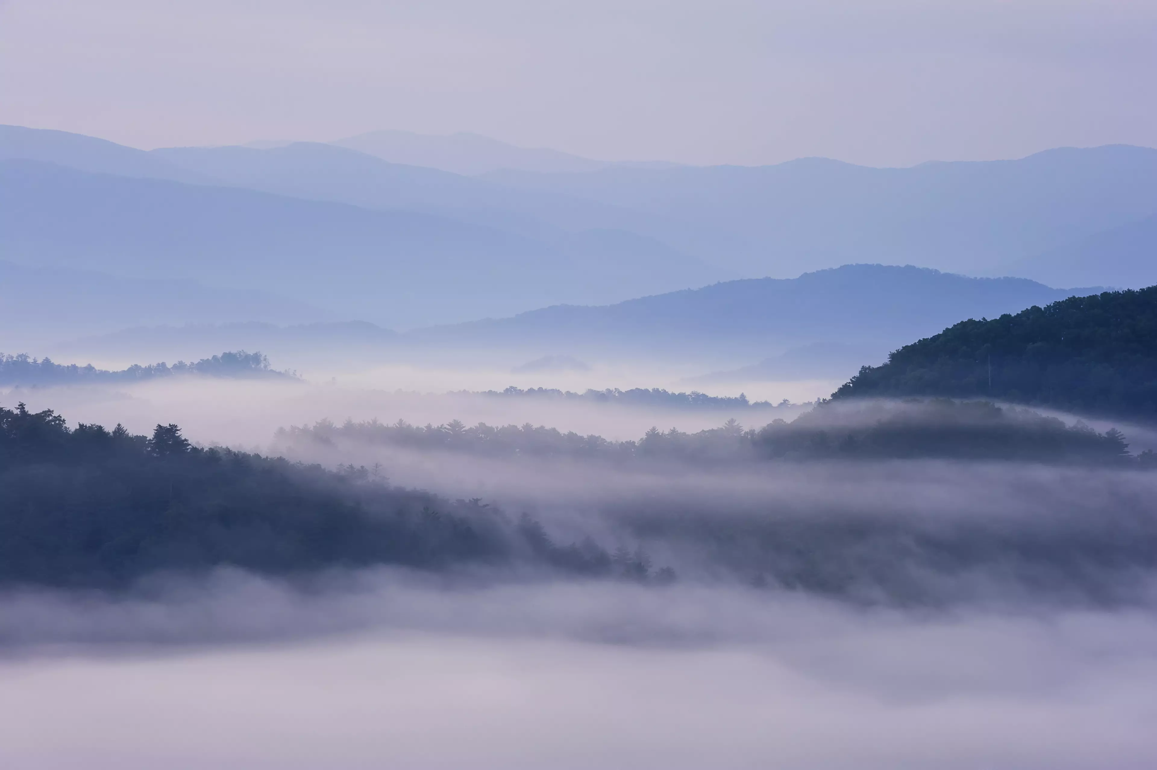 They don't call them the Great Smoky Mountains National Park for nothing.