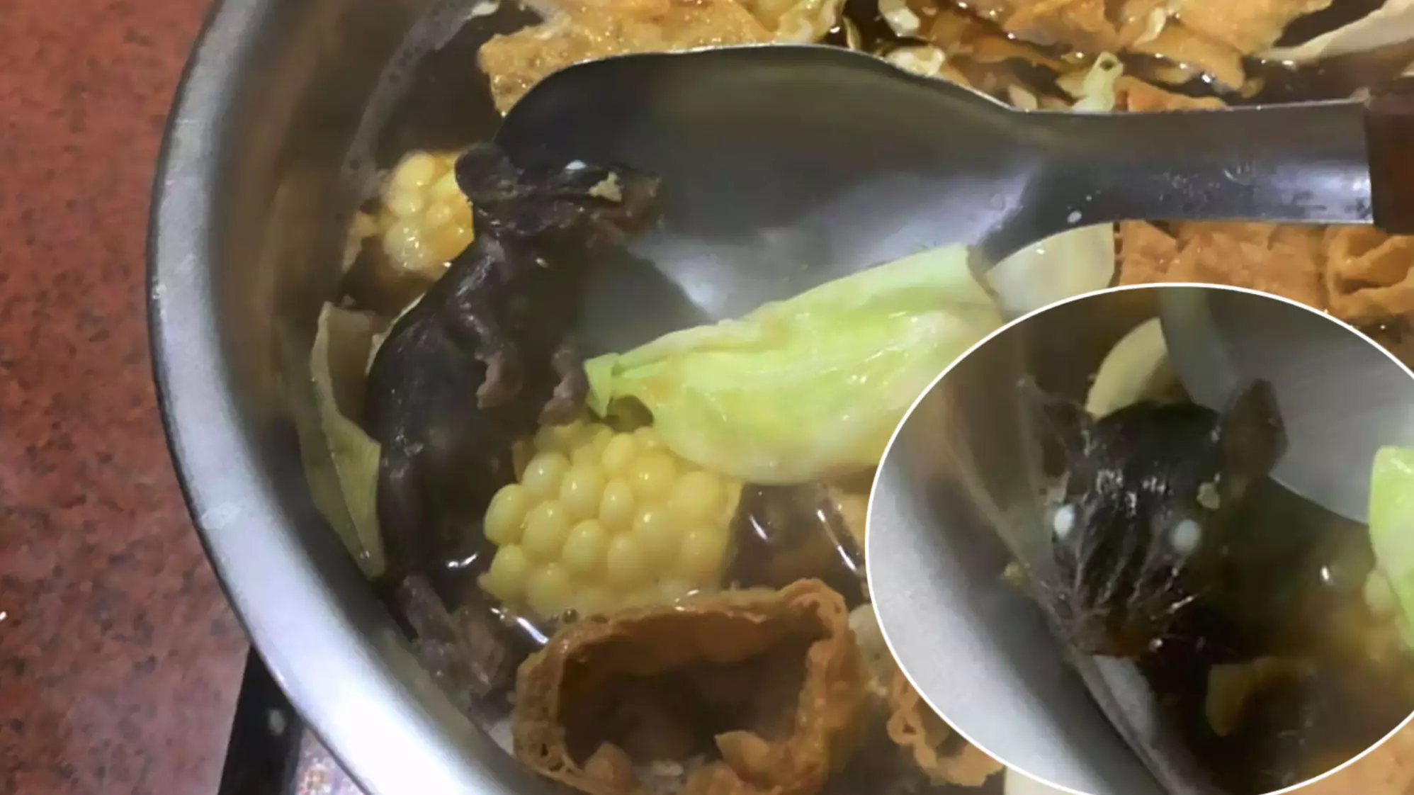 Man Shocked To Find Dead Rodent Floating In His Stew