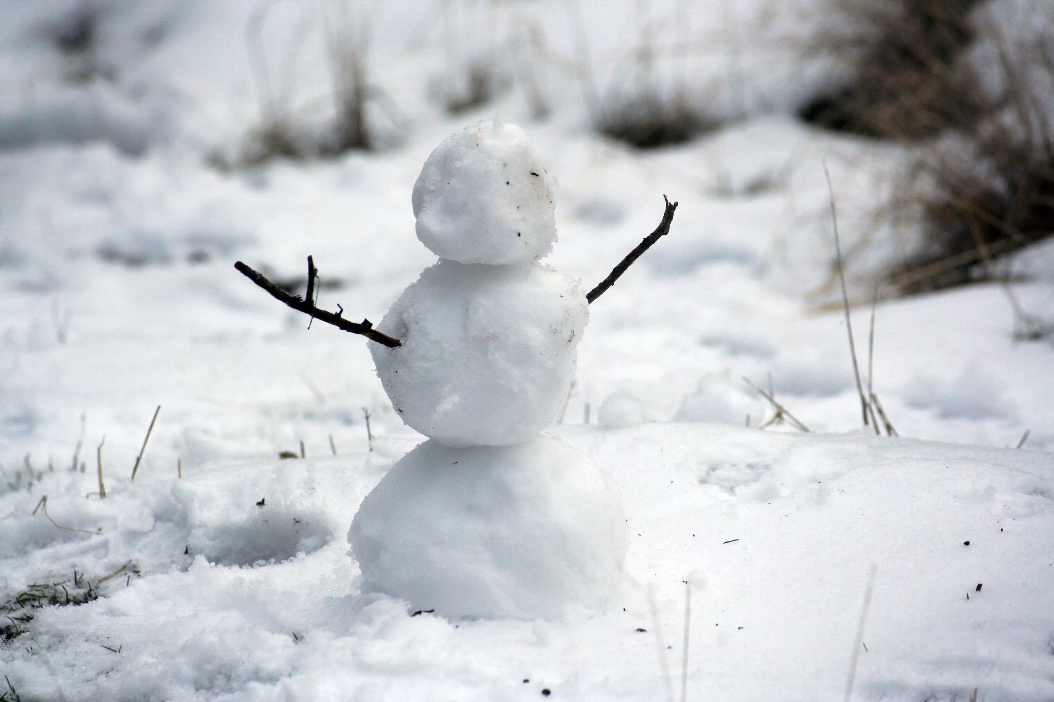 Will you be building a snowman this year (