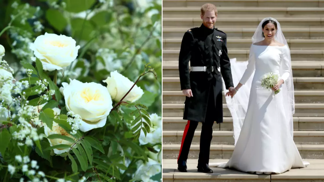 Prince Harry And Meghan Markle Donated Their Wedding Flowers To Hospice Patients