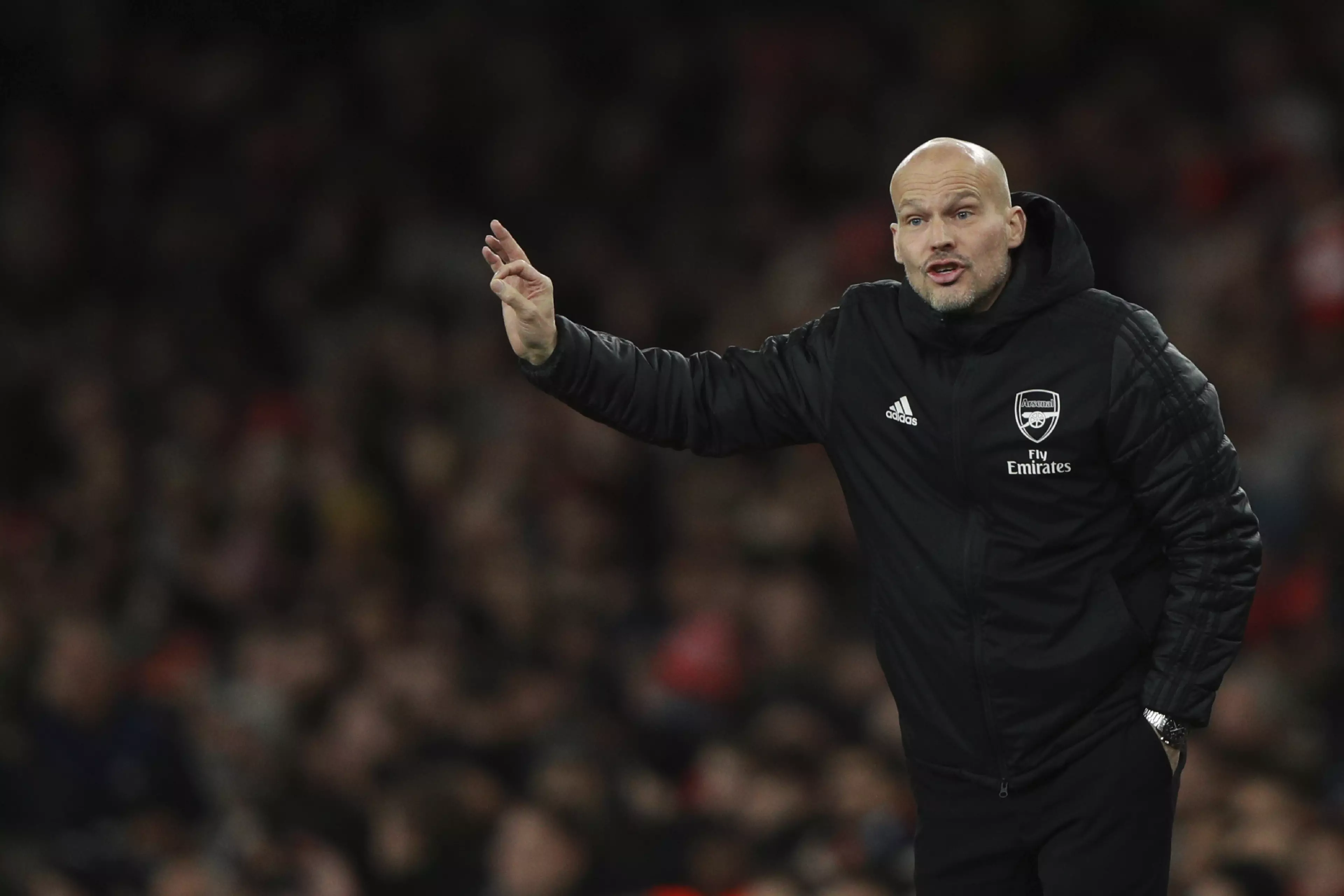 Ljungberg has been in charge for nearly a month. Image: PA Images