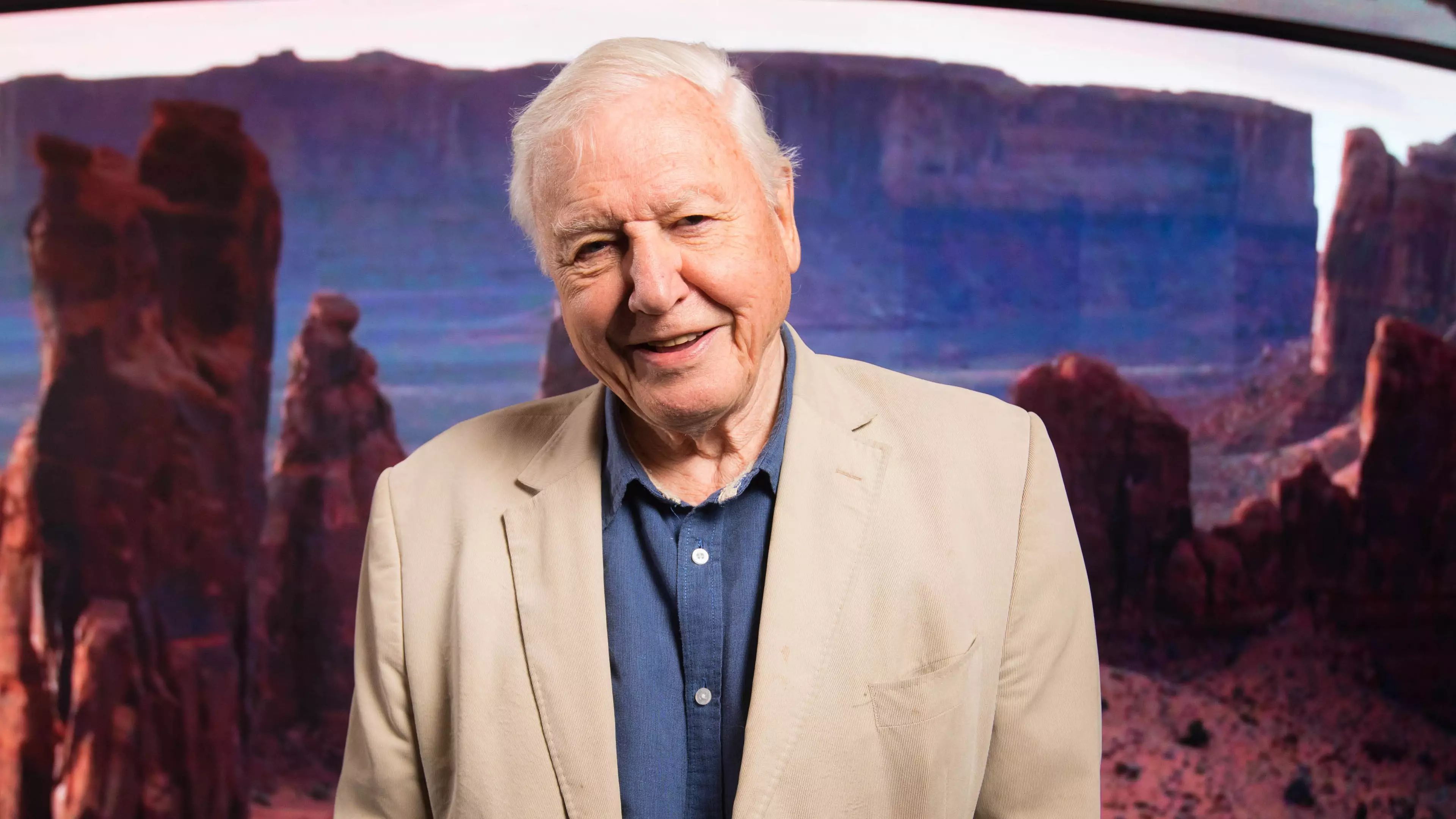 David Attenborough Says Young Peoples' Obsession With Him Is 'Odd'