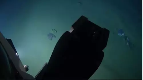 ​Scientist Travels 10,000 Metres Underwater And Finds Teddy Bear And Plastic Waste