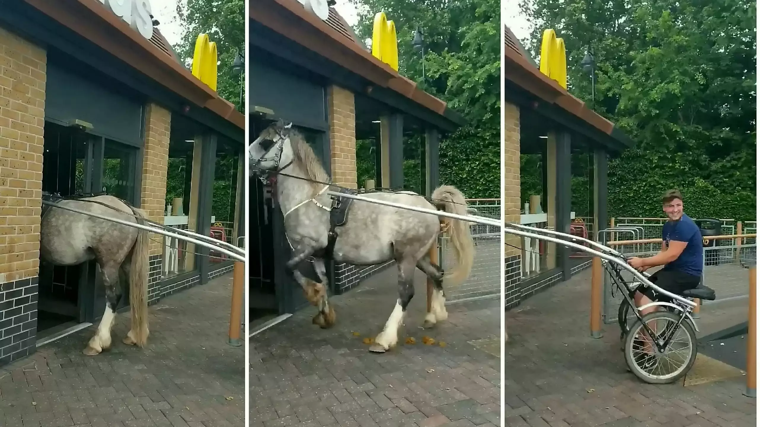 Horse Tries To Get Served At McDonald's Then Poos In Doorway