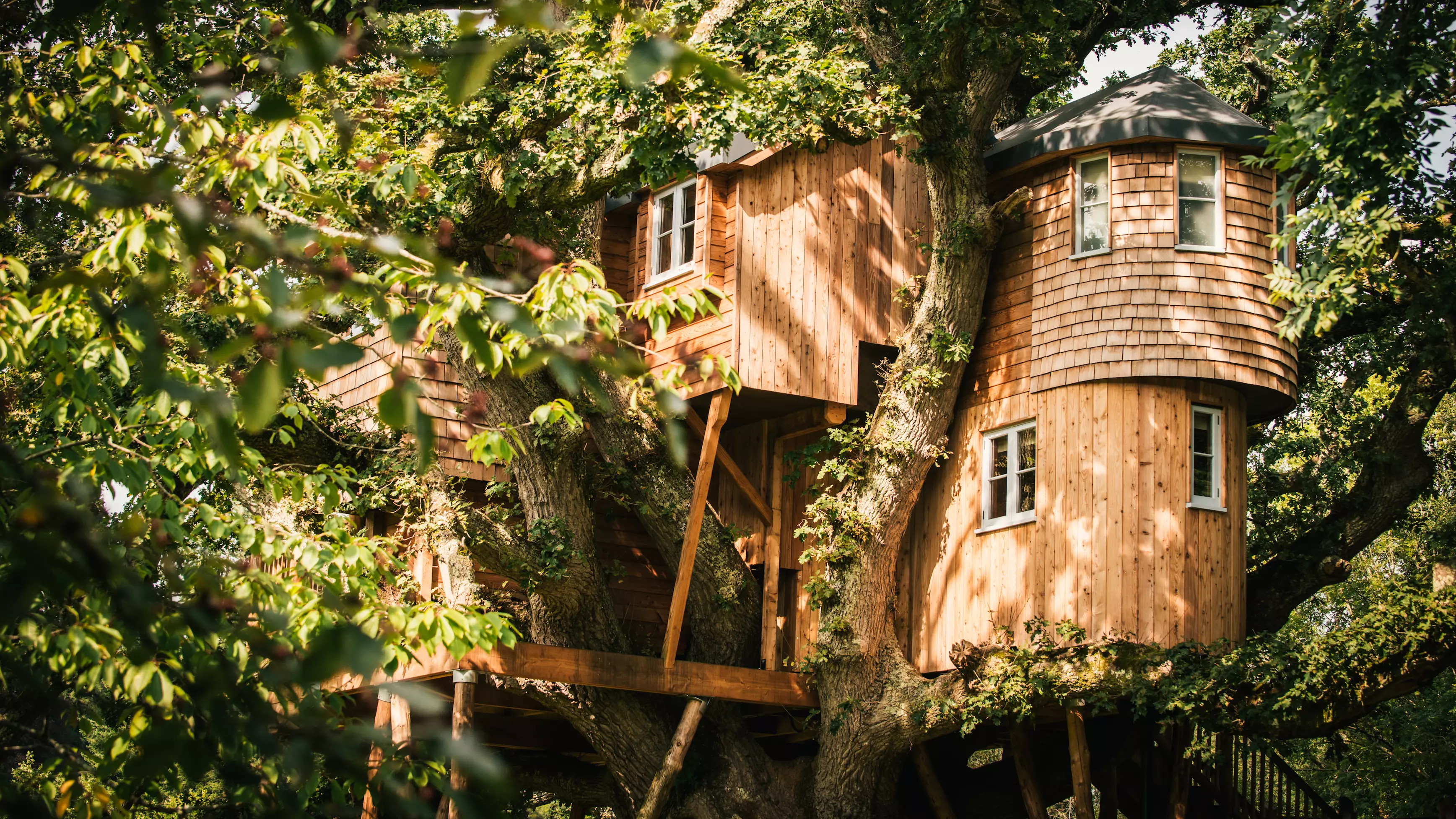 You Can Stay In An Enchanted Real Life Treehouse And Indulge Your Inner Child