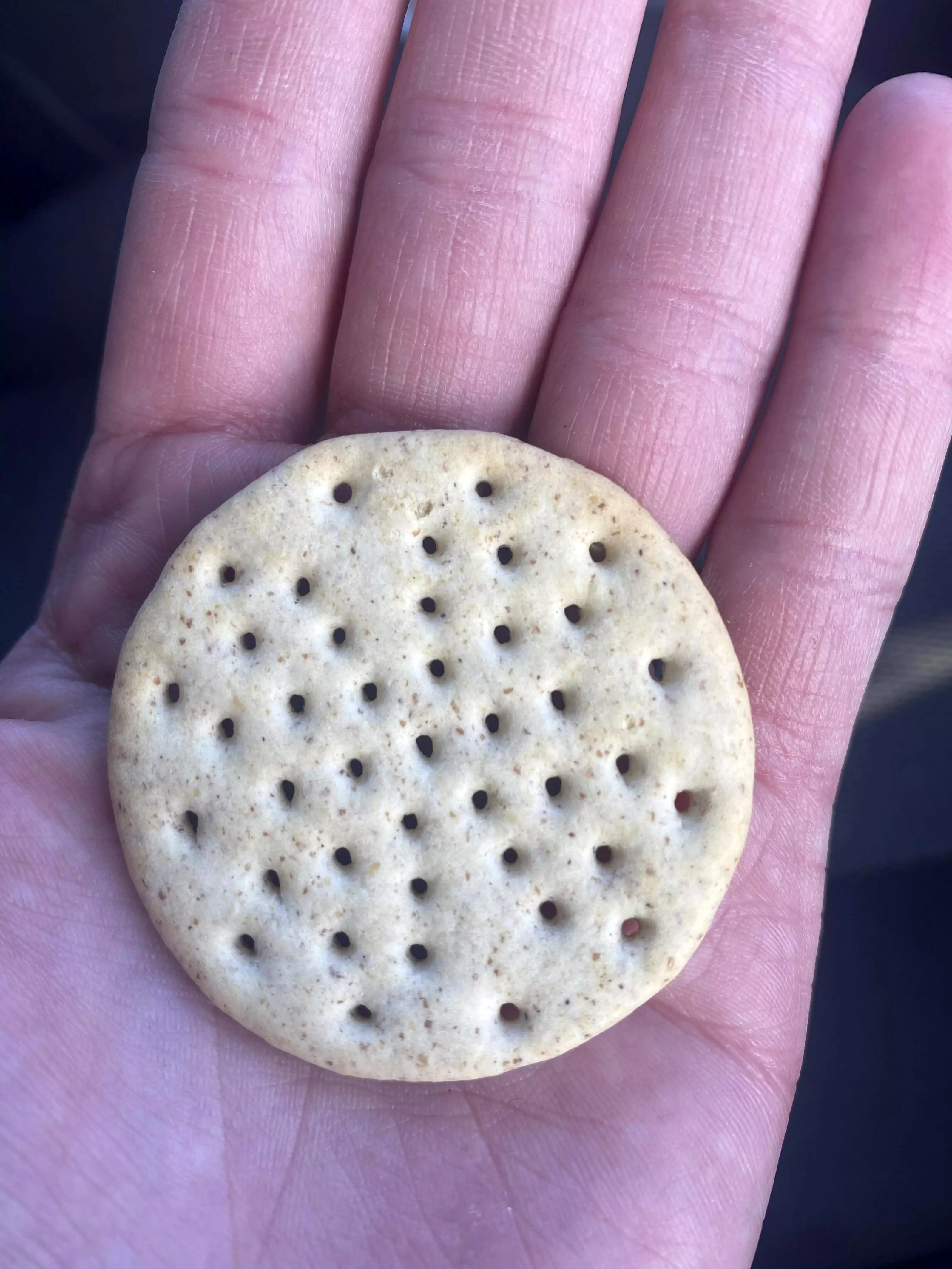The tiny cracker was from a Dairylea Lunchables pack (