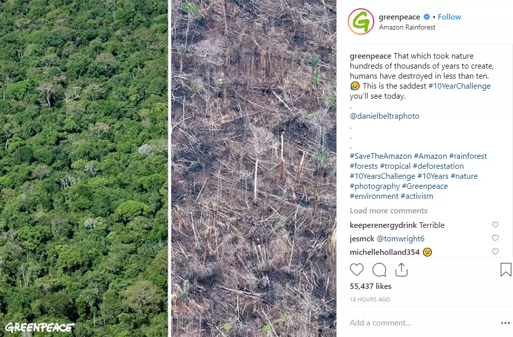 Conservationist groups are using the #10YearChallenge to inform people about the dangers of global warming.