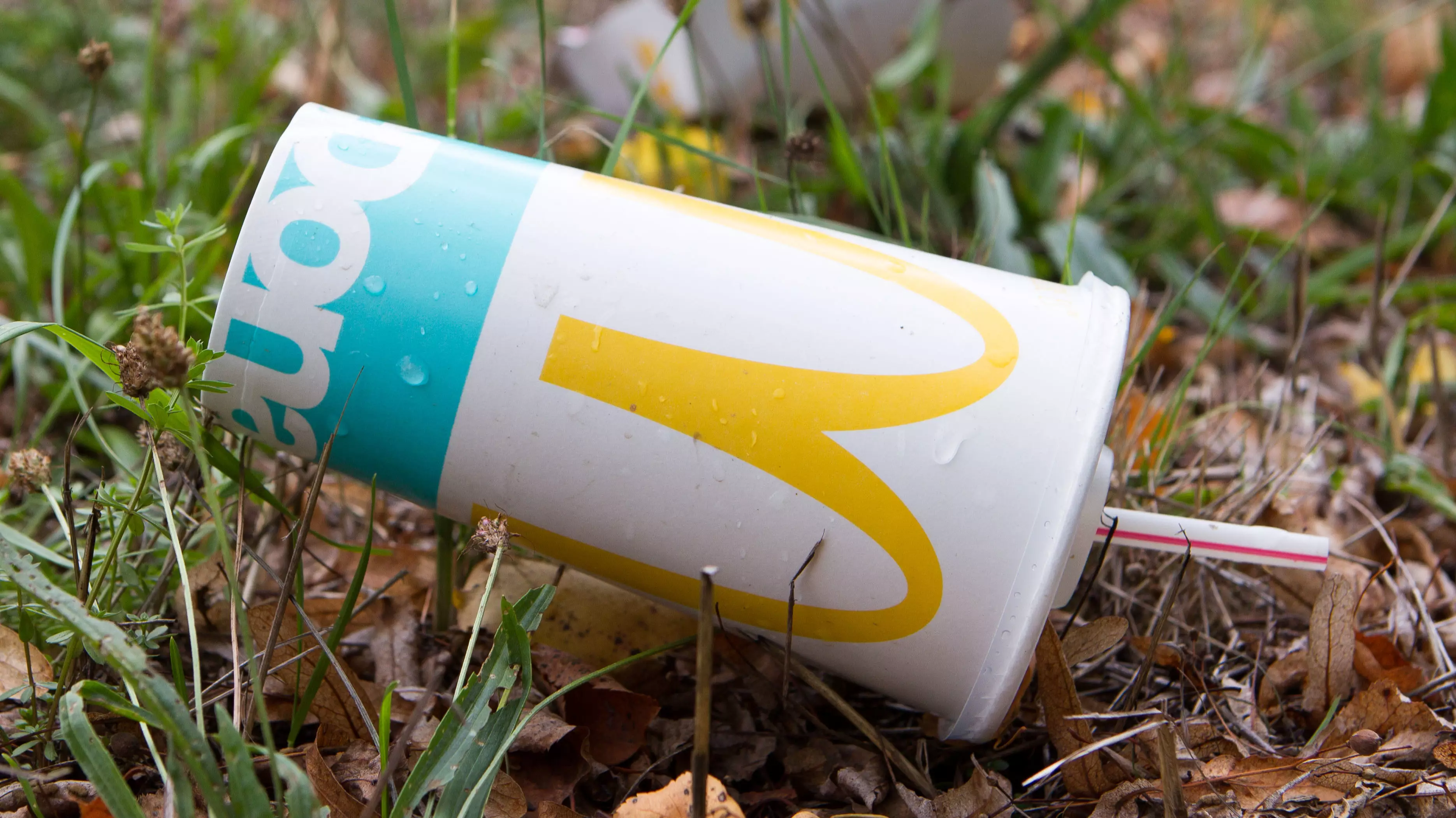 Nearly 35,000 Sign Petition For McDonald's To Bring Back Plastic Straws