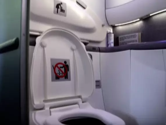 Here's What Airplane Toilets Do With Your Waste 