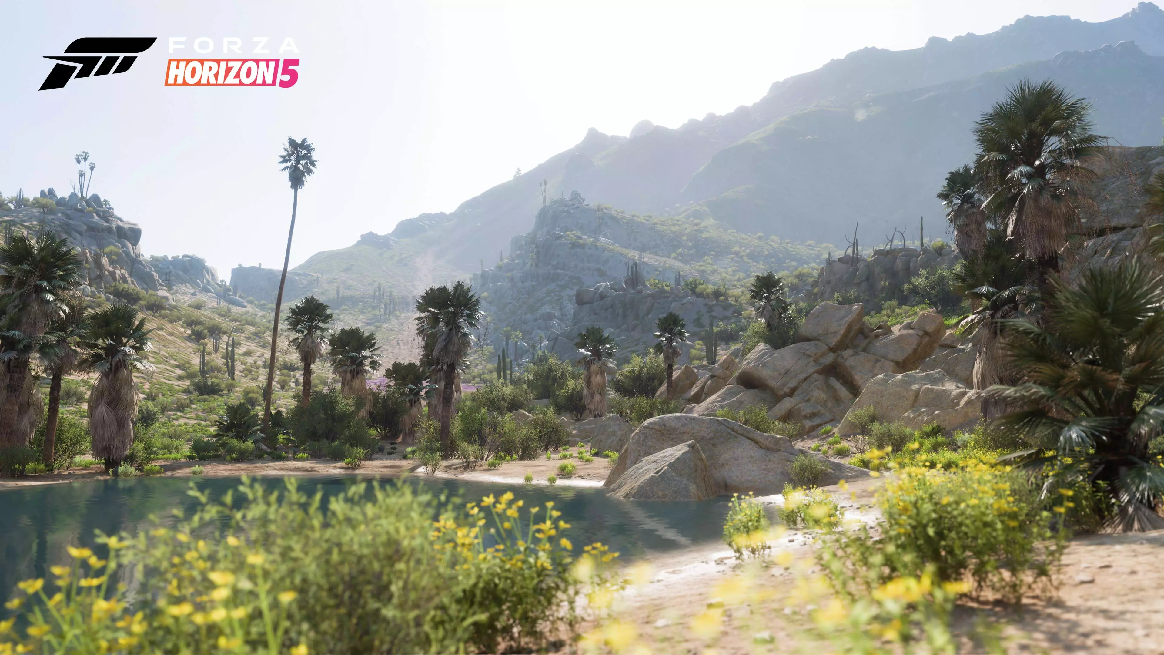 Forza Horizon 5's Living Desert /