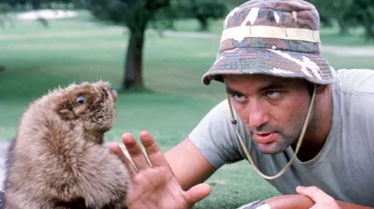 Bill Murray Is Opening Up A ‘Caddyshack’ Themed Restaurant Near His Hometown