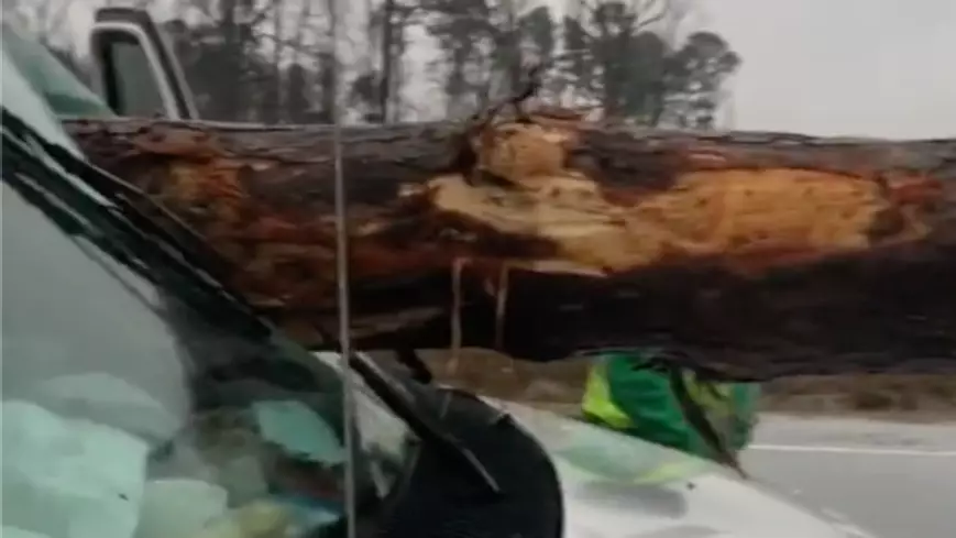Driver Survives Horrifying Final Destination-Style Crash With Timber Truck