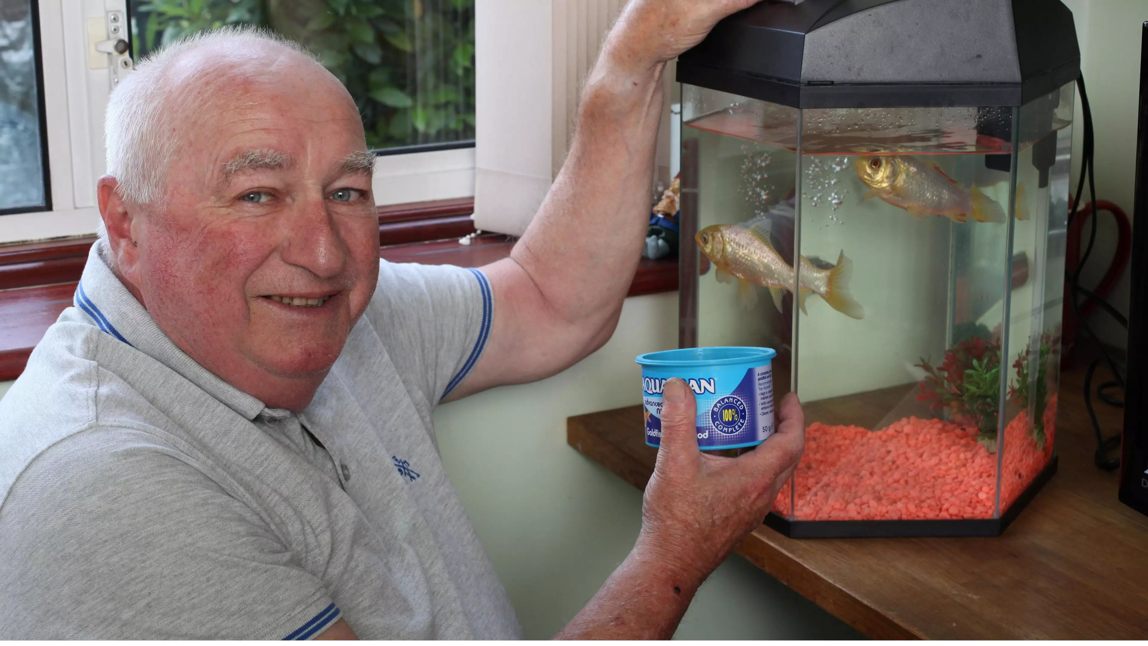 Britain's Oldest Goldfish Won As A Prize In 1974 Has Died Aged 44