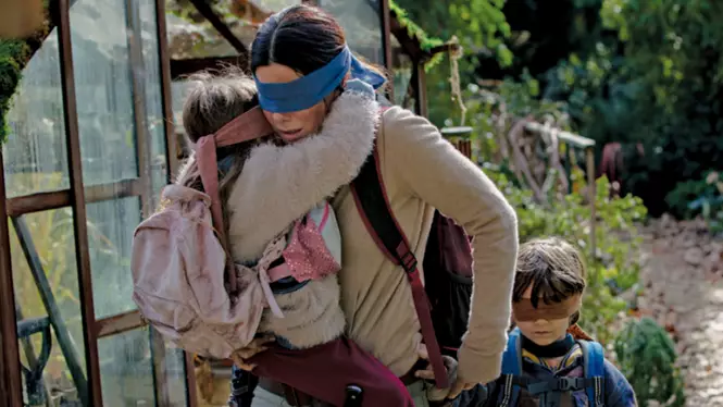 Netflix Begs Fans To Not Take Part In The 'Bird Box Challenge'