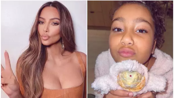 Kim Kardashian Angers Fans After Dressing Pet Lizard In Custom-Made Skims