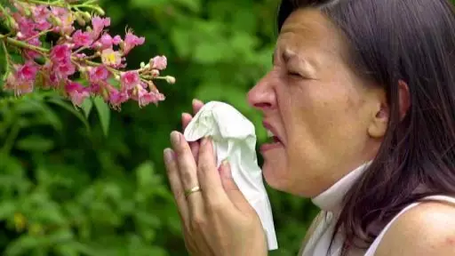 Hay Fever Sufferers Told To Stay Indoors As 'Pollen Bomb' Hits Early