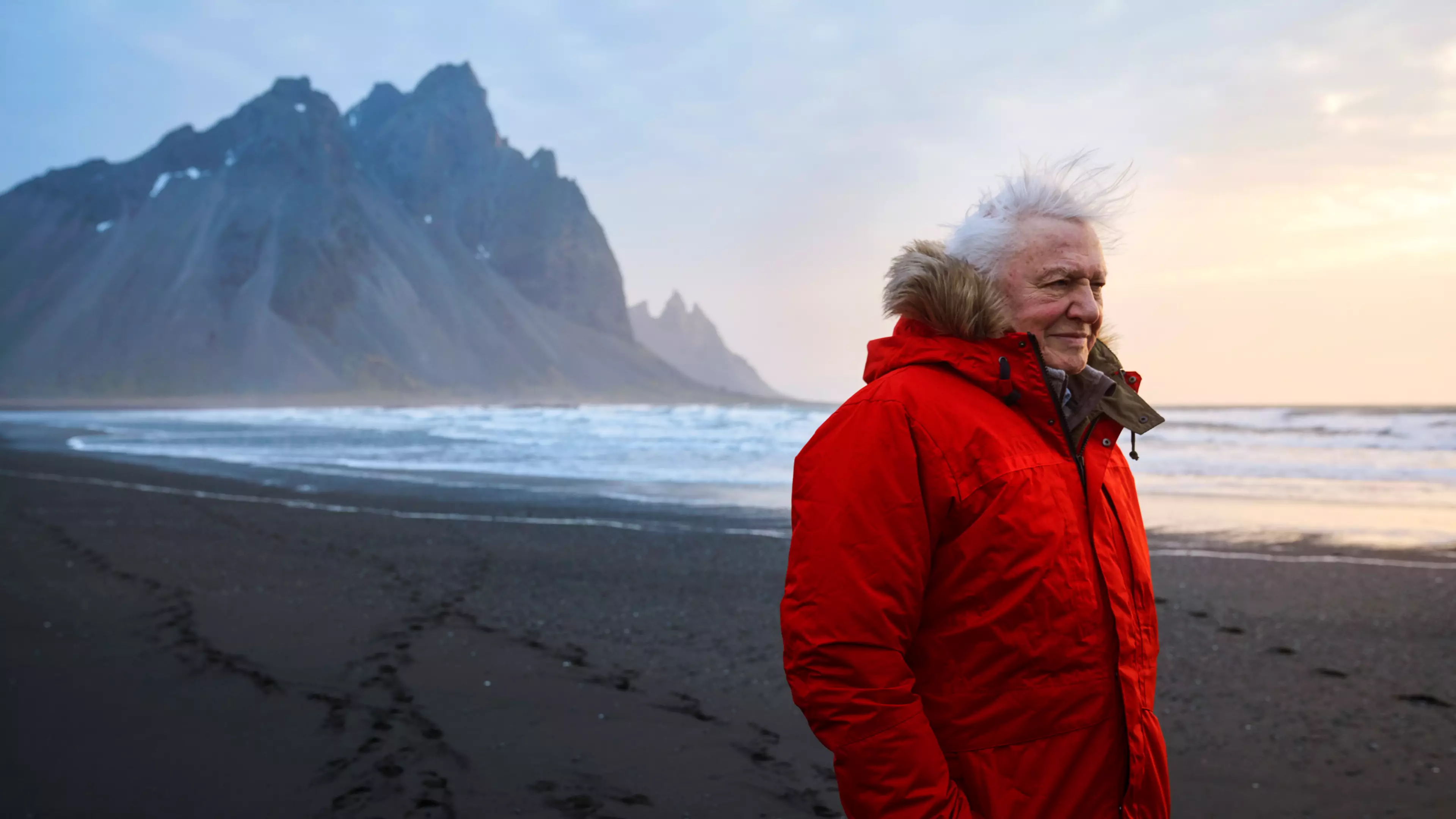 David Attenborough's New Show Starts Sunday - Here's Everything We Know