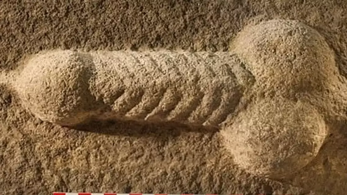 Stone-Carved Penis Found In Archaeological Dig Of Roman Site