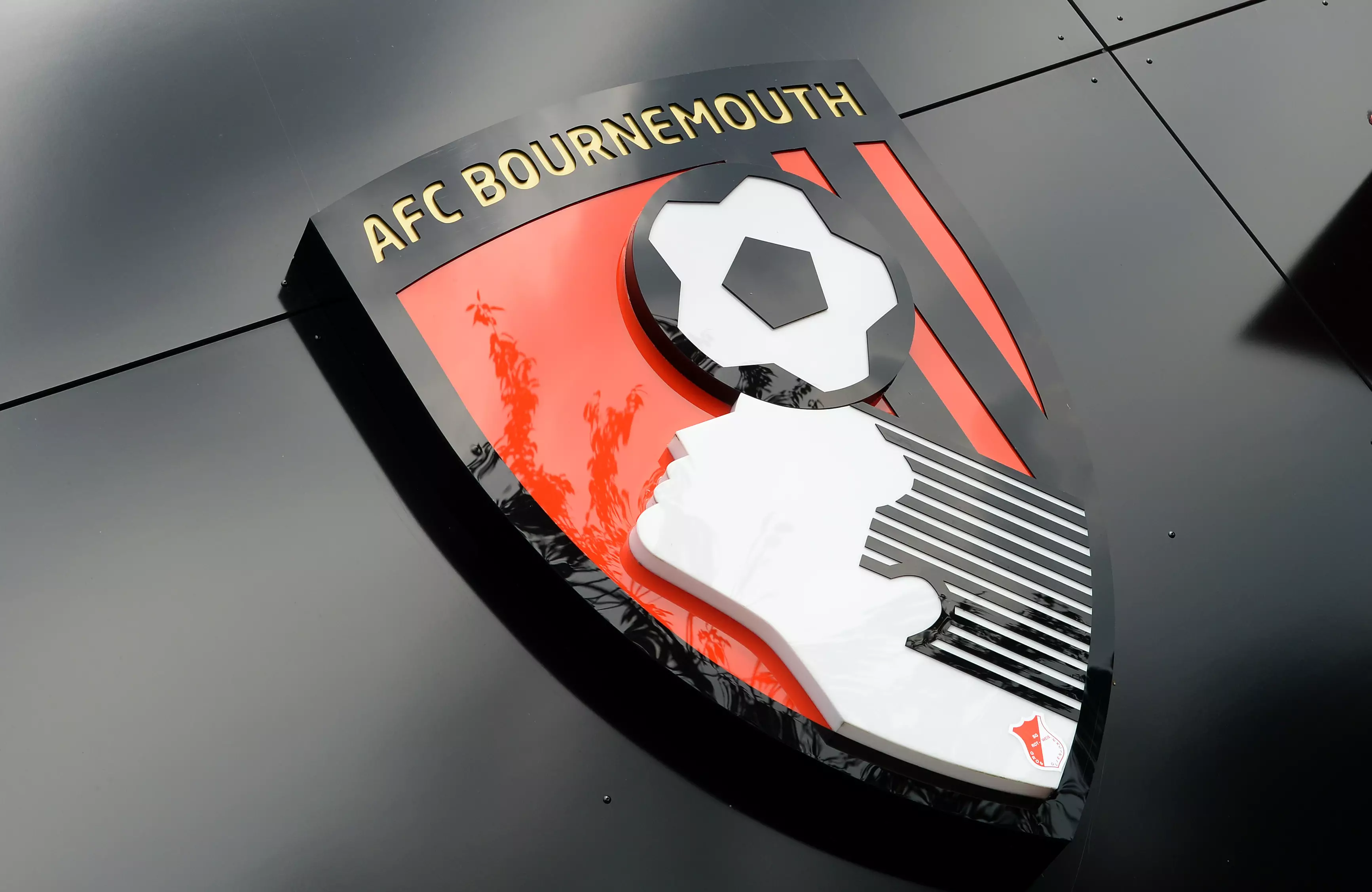 Bournemouth Players Told To Wear Orange Glasses And We're All Confused
