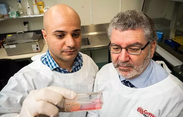 Professor Nigel McMillan and his research partner, Dr Luqman Jabair.