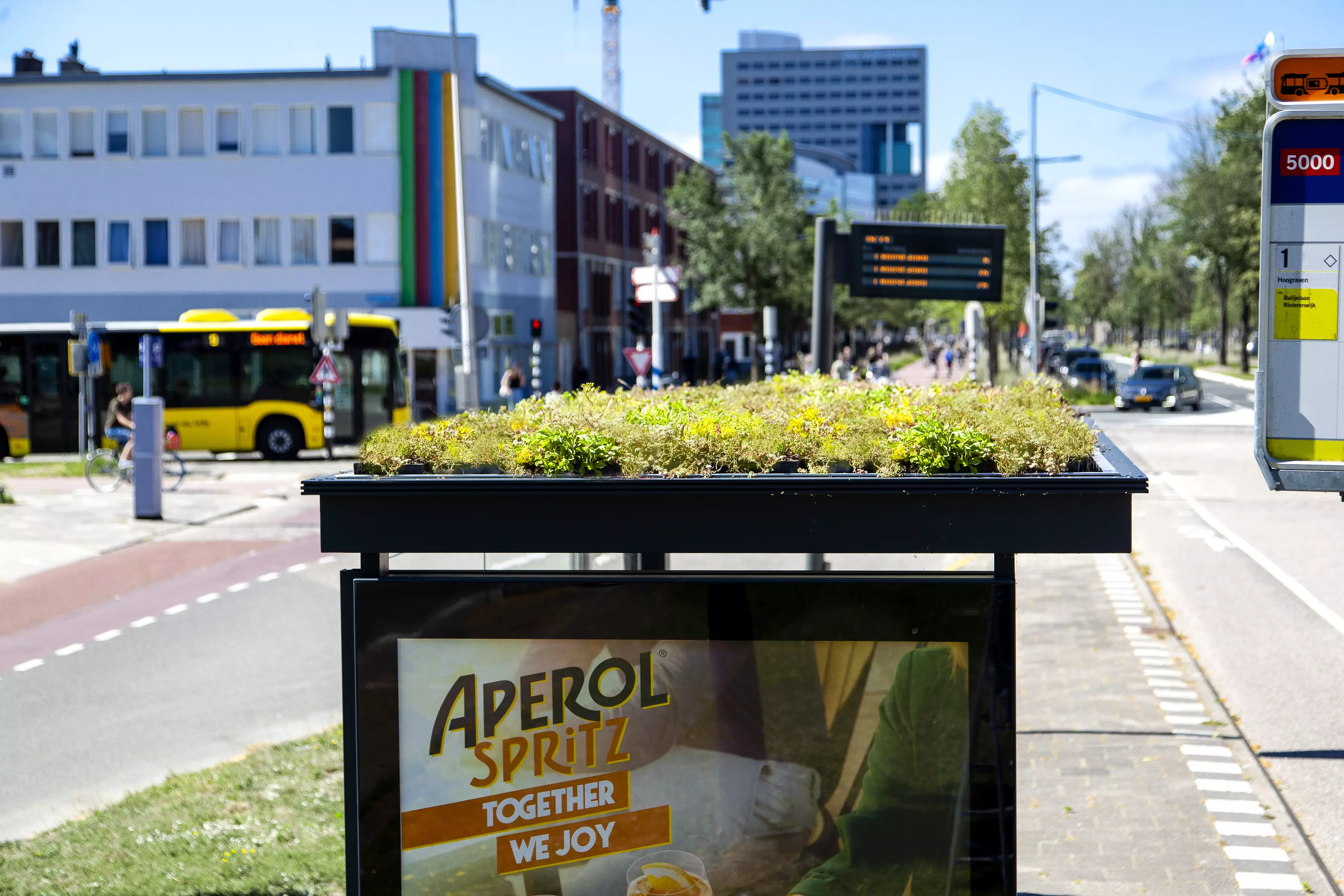 Utrecht became the first city to launch the ambitious eco-friendly project in 2019.