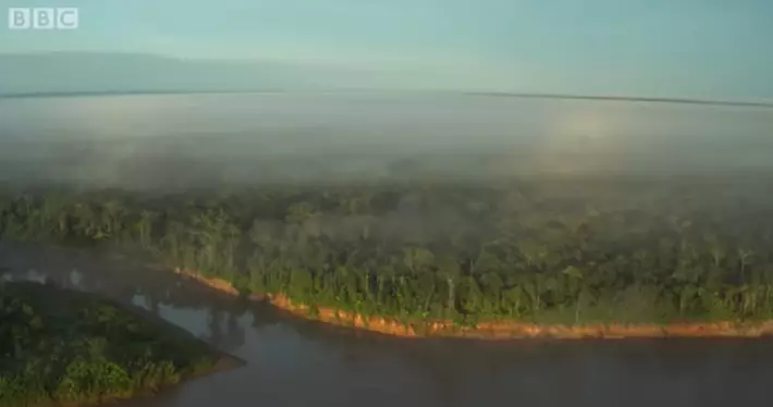 David Attenborough warned that the Amazon Rainforest is 'vanishing' (