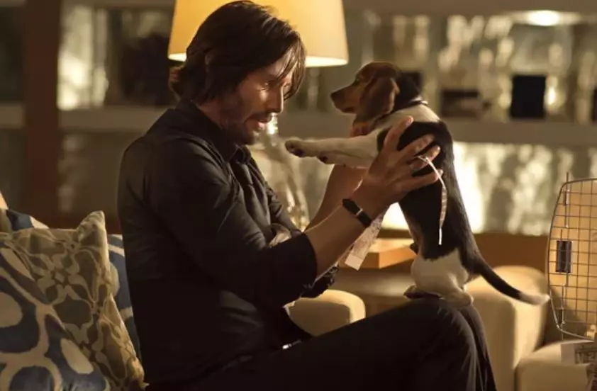 Don't mess with John Wick's dog.