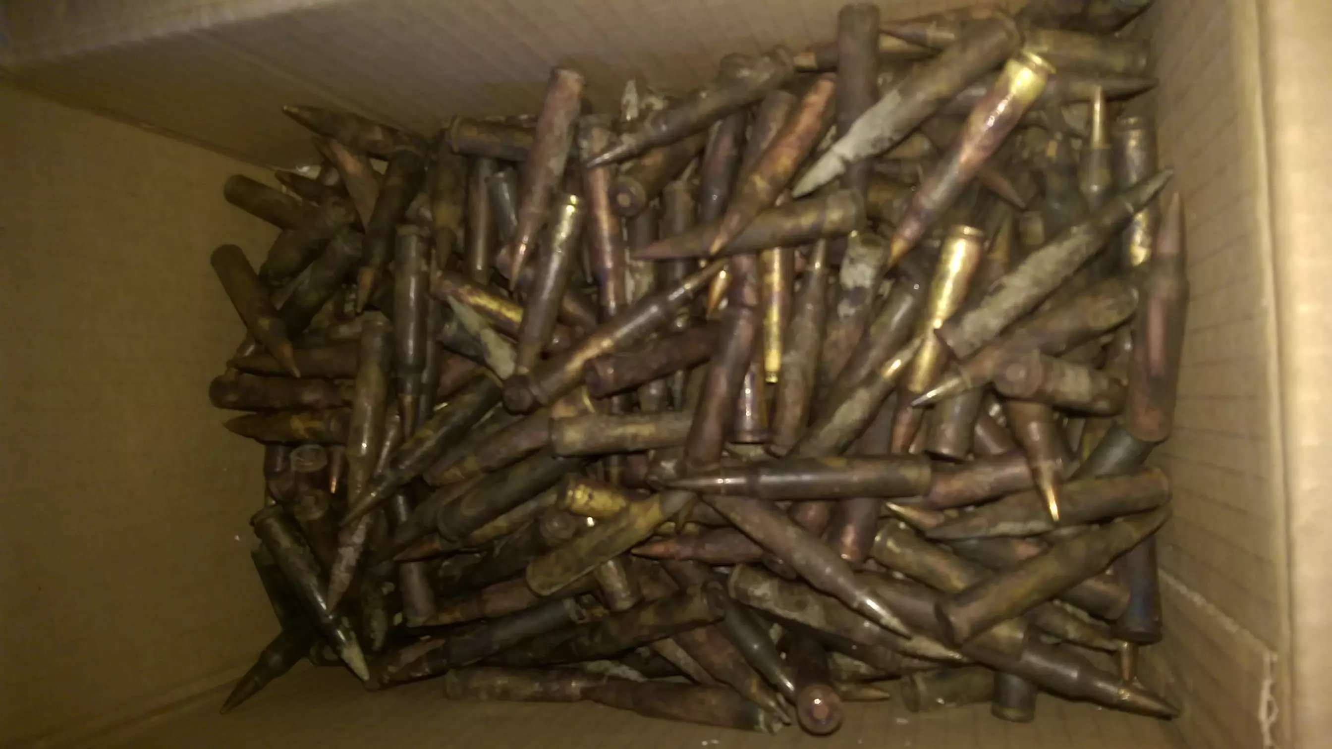 Little Girl Finds Over 300 Bullets While Out Fishing With Family 