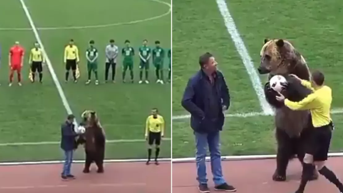 Bear Hands Over The Ball In Russian Third Division Game